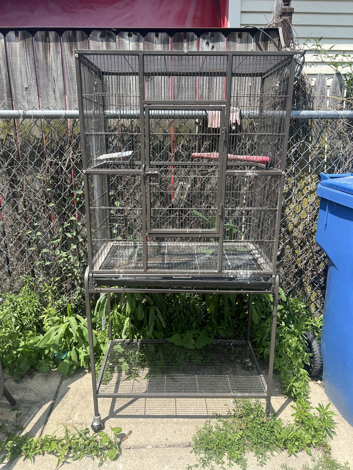 Exotic Steel Bird cage