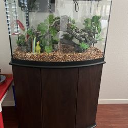 32 Gallon Fish Tank With Decor, Filter, And Care & Cleaning Supplies