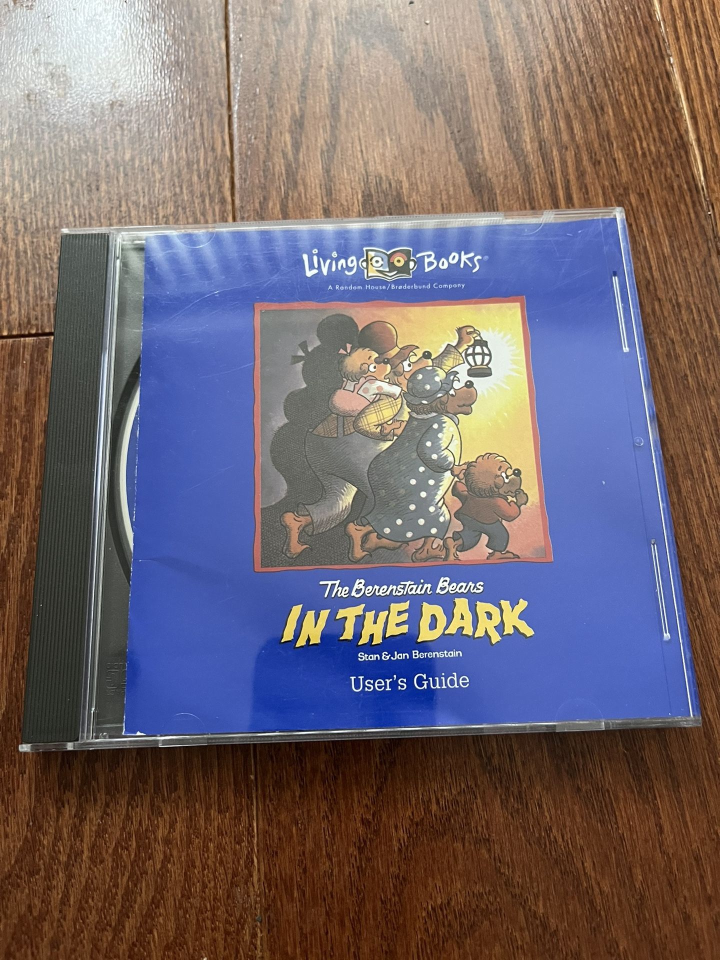 The Berenstair Bears In The Dark