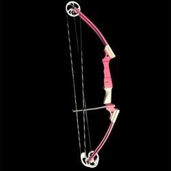 Genesis Pink Archery Bow
