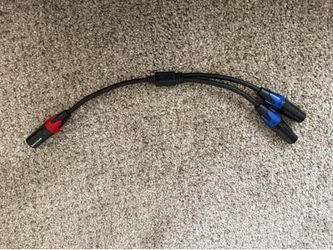 XLR Y cable