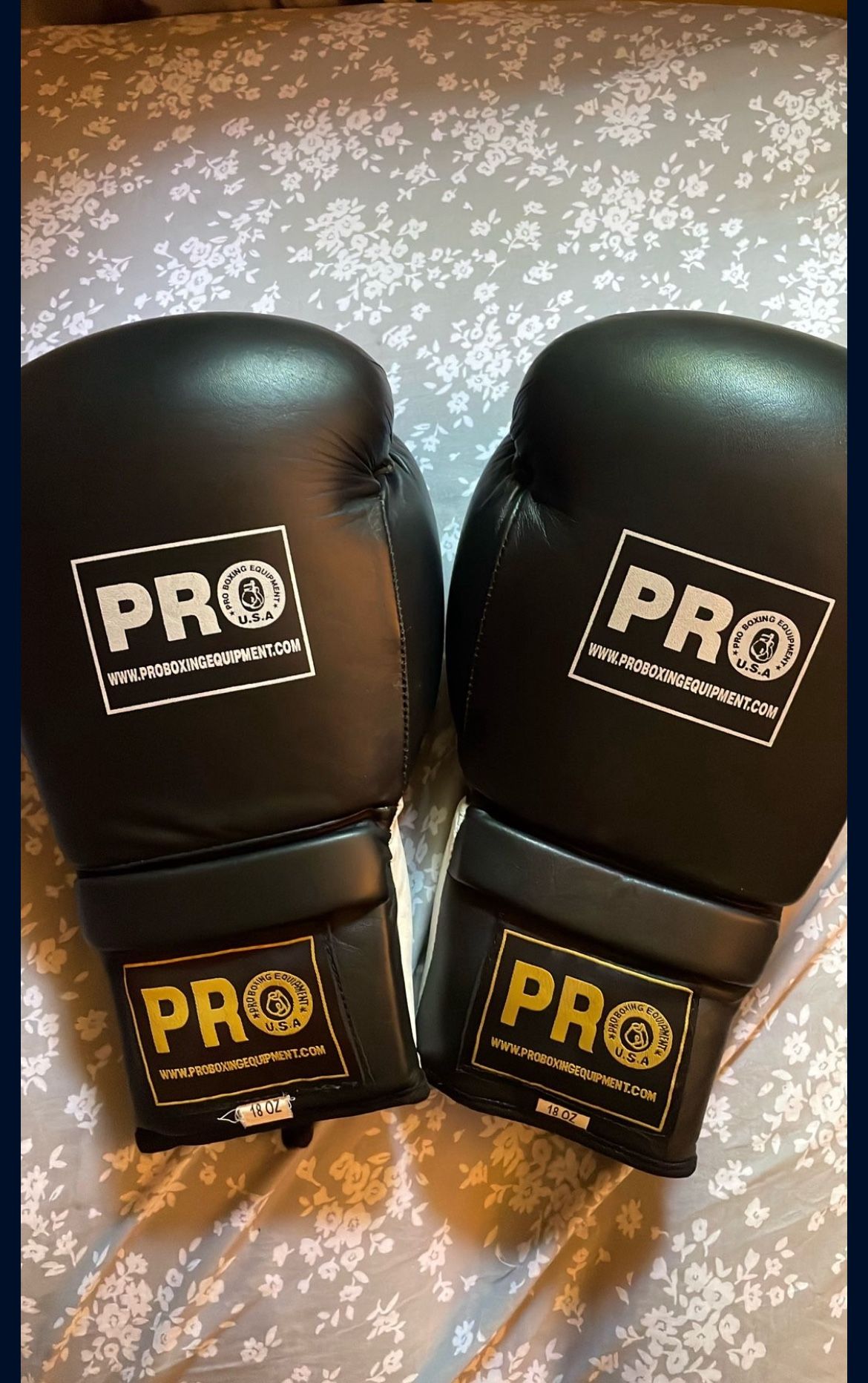 Pro Boxing Gloves 18oz