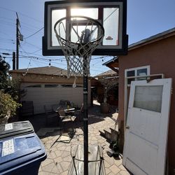 Lifetime Basketball Outdoor Hoop Court 