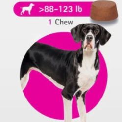 Flea /tick For Dogs