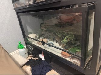 OPEN TO OFFERS EVERYTHING IN THE PICS FOR SELLFAKE REPTILES