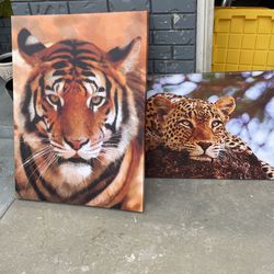 Frames Pictures
