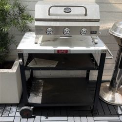 Outdoor Portable BBQ And Cart Never Used