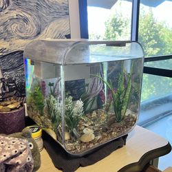 Small Fish Tank 