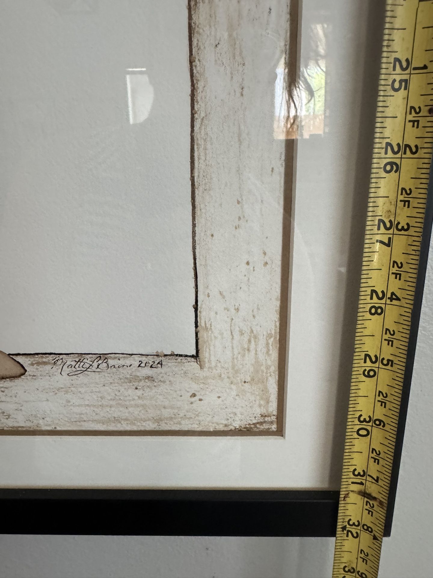 Professionally Framed Wall Art