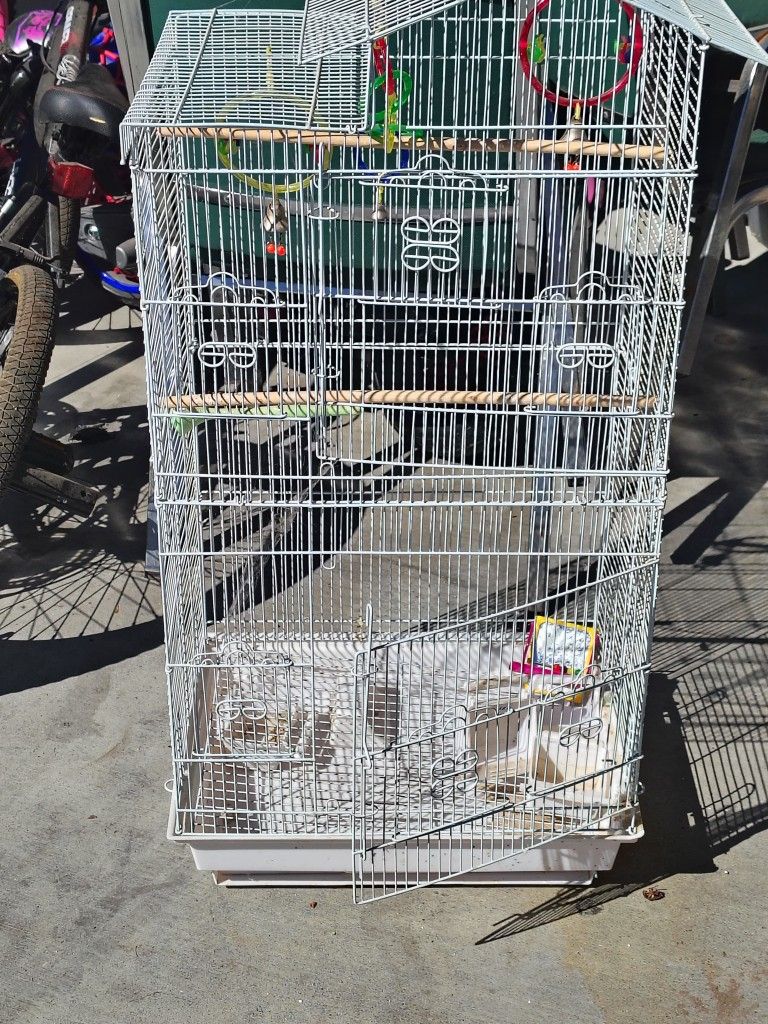 Bird Cage
