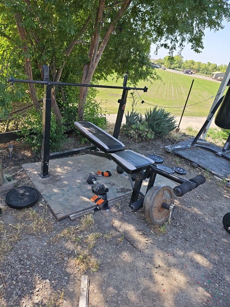 Weight Bench