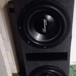 2 12 Inch Mrmusicman 1000 watt rms subwoofers for car audio