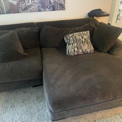 Plush Couch With Case $150