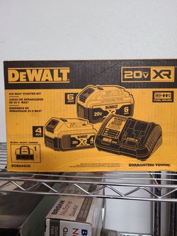 Dewalt 20v max stater kit