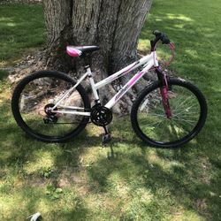 26” Mountain Bike 