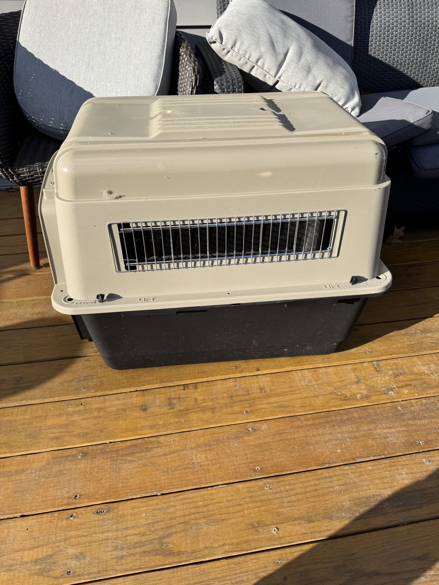 medium dog kennel travel crate