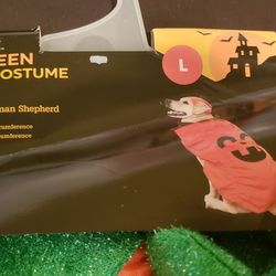 PET PUMPKIN Costume Large