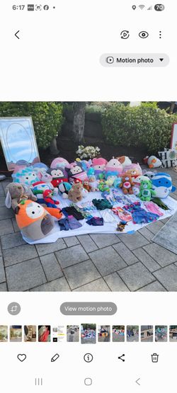 Squishmallows entire collection adult collected over 80 total