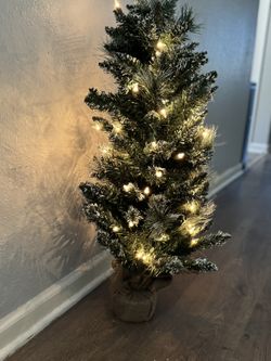 Vickerman 3' x 17" Snow Tipped Mixed Pine Tree $25