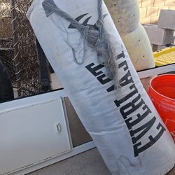Everlast Punching Bag