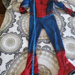 Rubie's Spiderman Muscle Costume