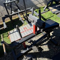 Seated Calf Raise Machine – Commercial Grade 