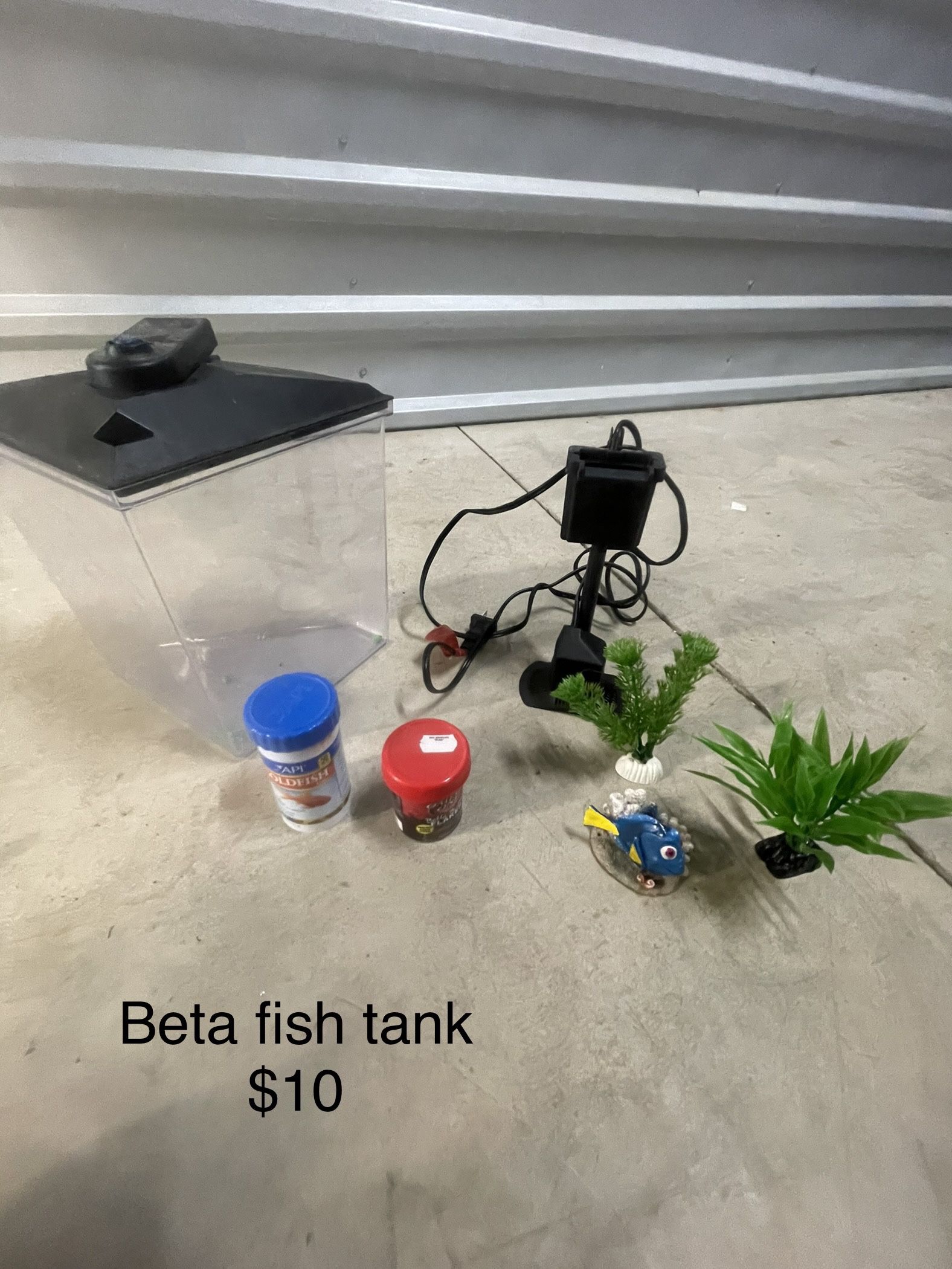 Beta Fish Tank