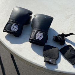 Mayweather boxing gloves