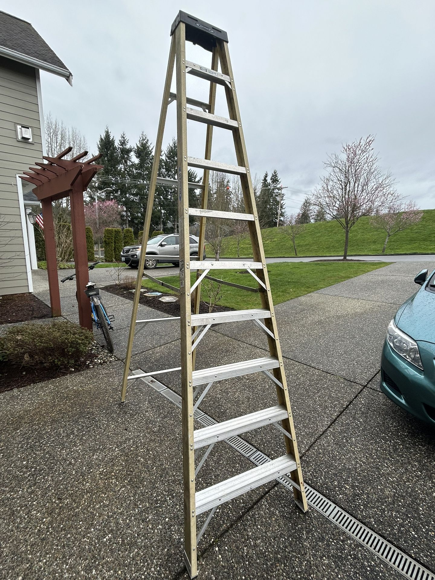 Werner 10ft Step Ladder 
