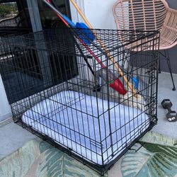 Large Crate