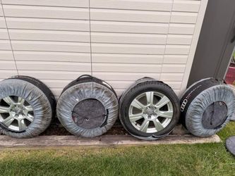Dunlop Winter Tires