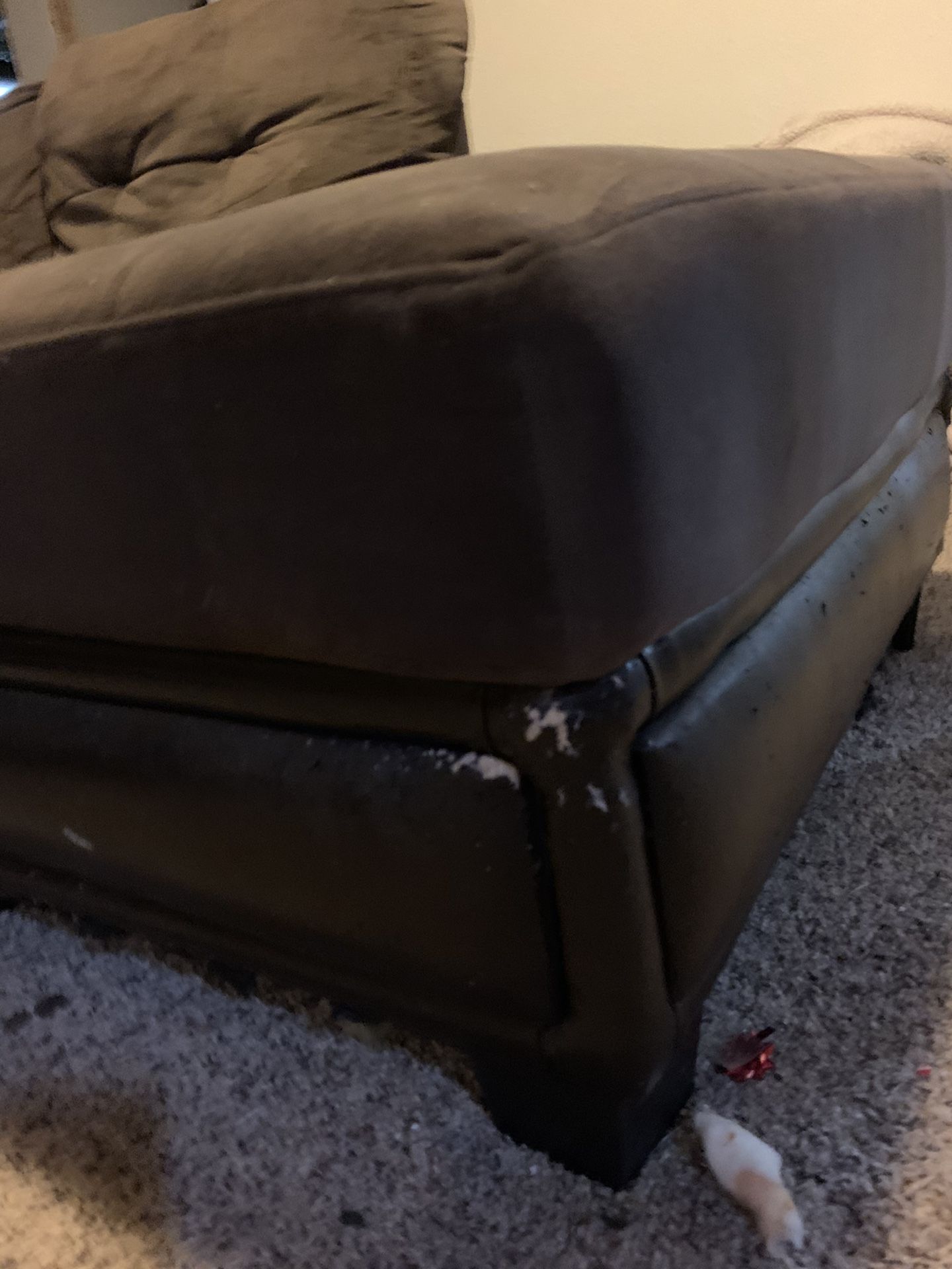 FREE SECTIONAL! Great Deal :)