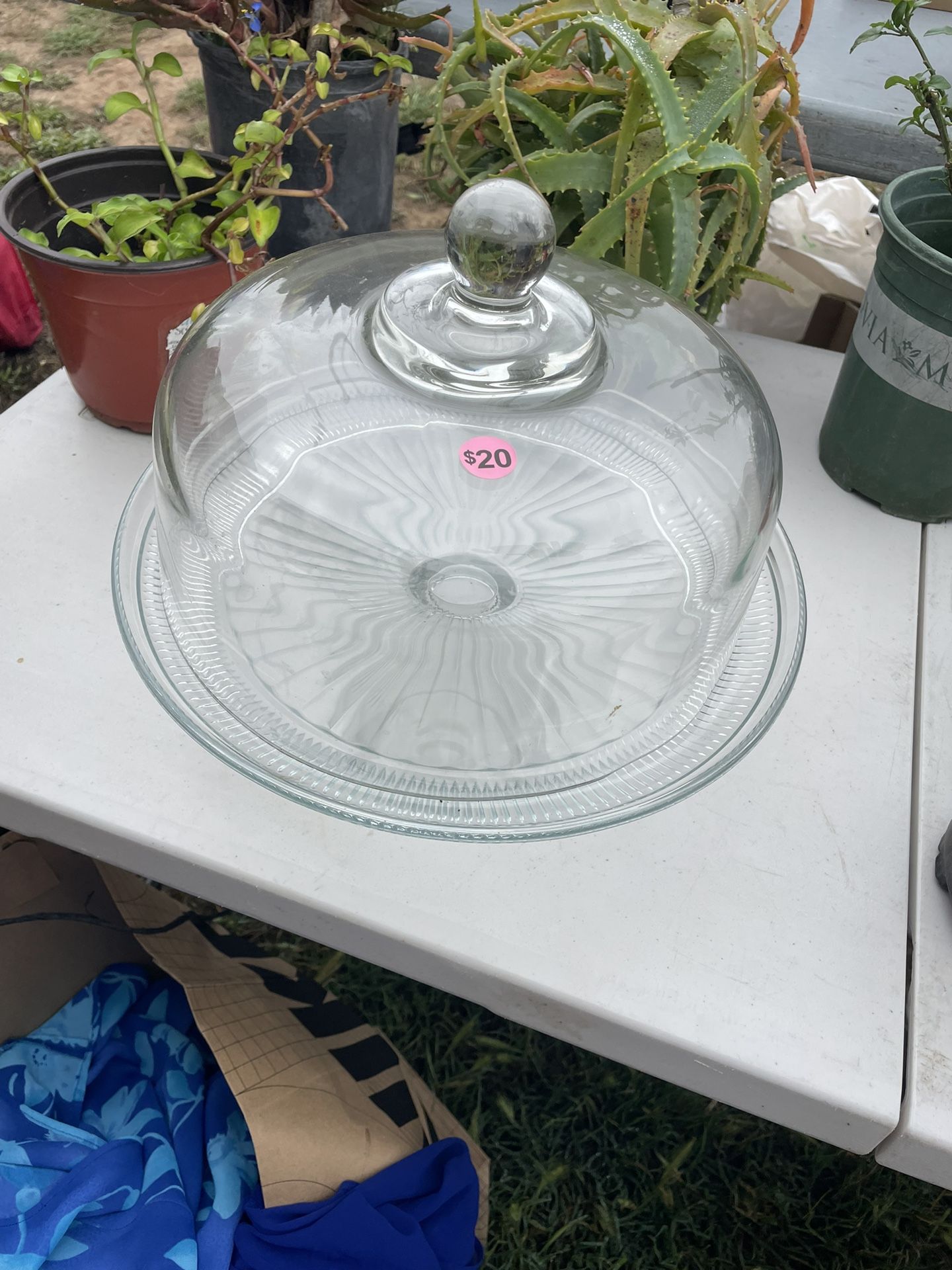 Glass Cake Showcase