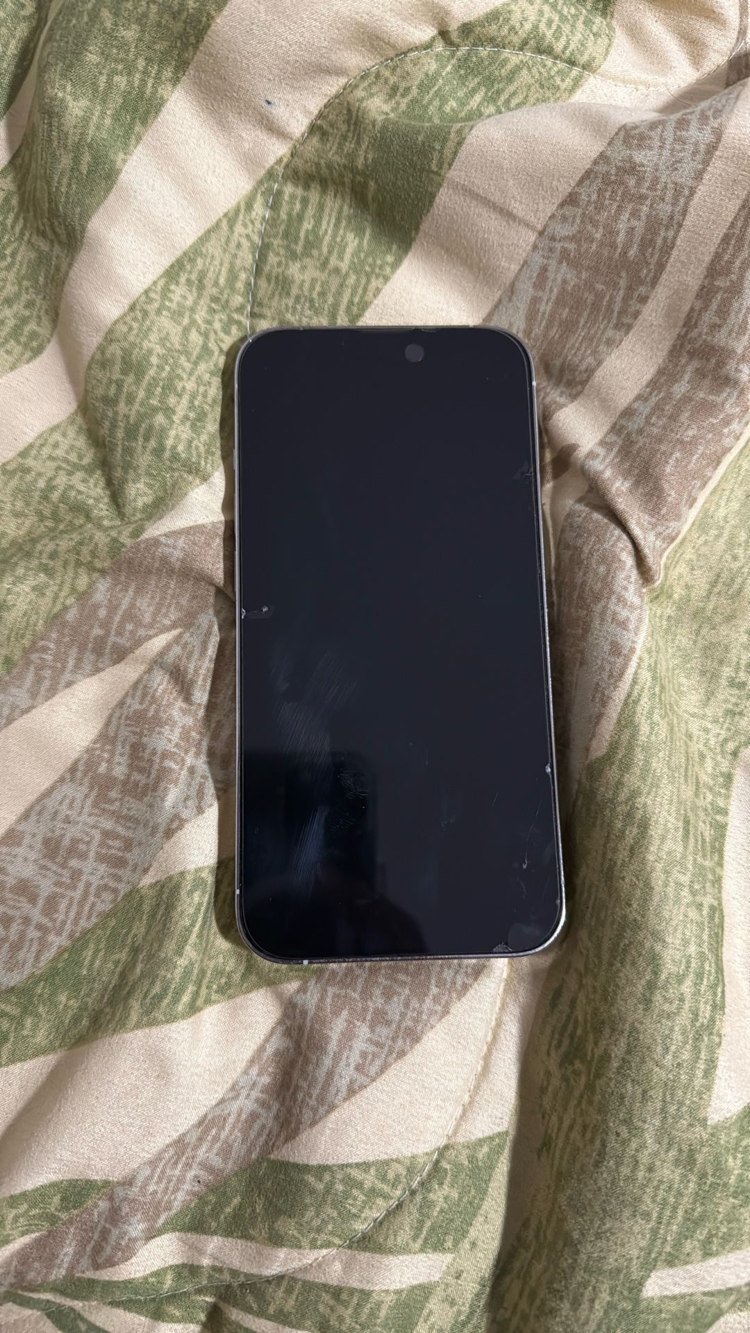 iPhone 13 Pro