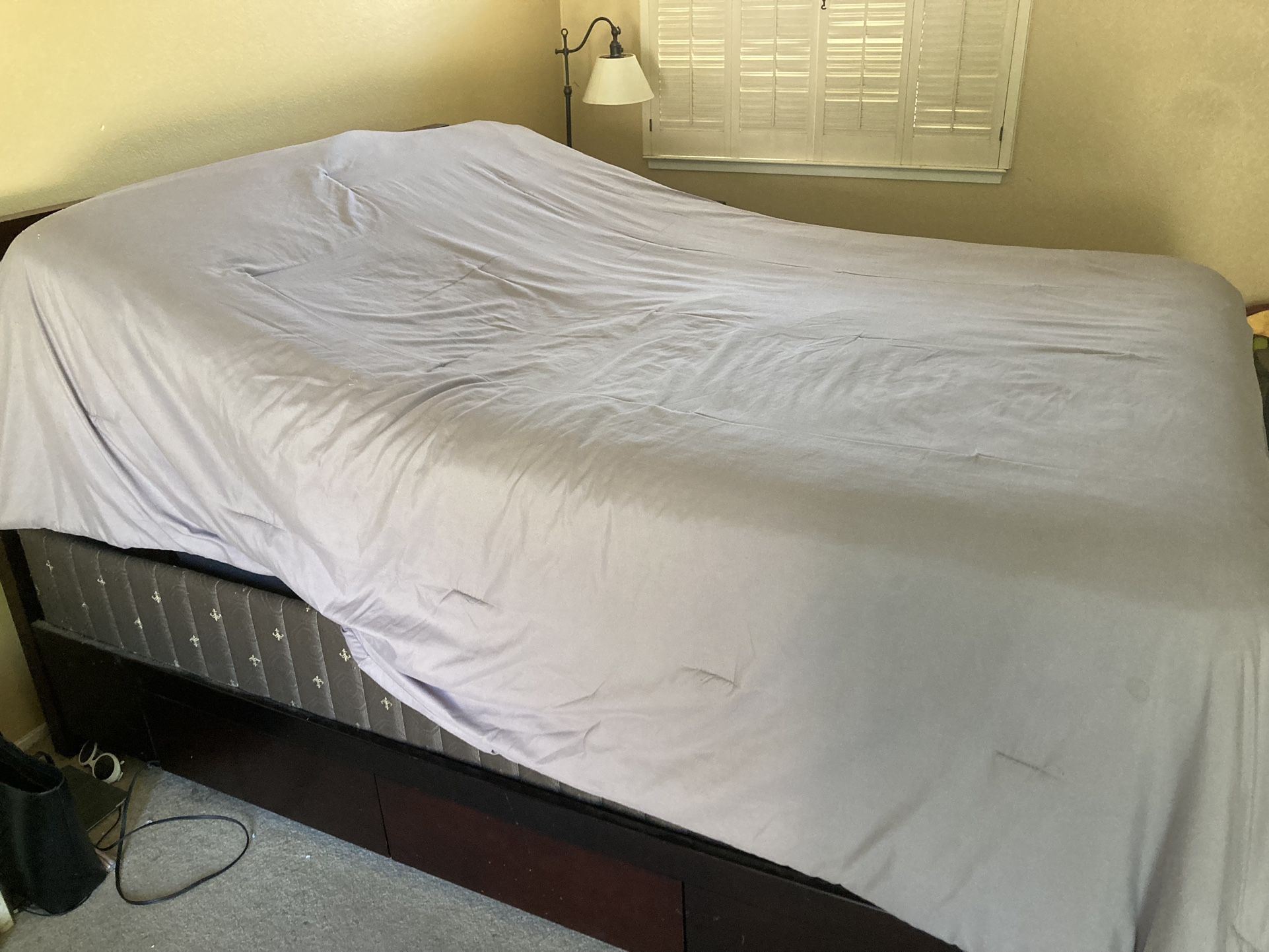Queen Bed Frame Box Spring Adjustable