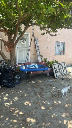 Outdoor Tree Swing For Kids