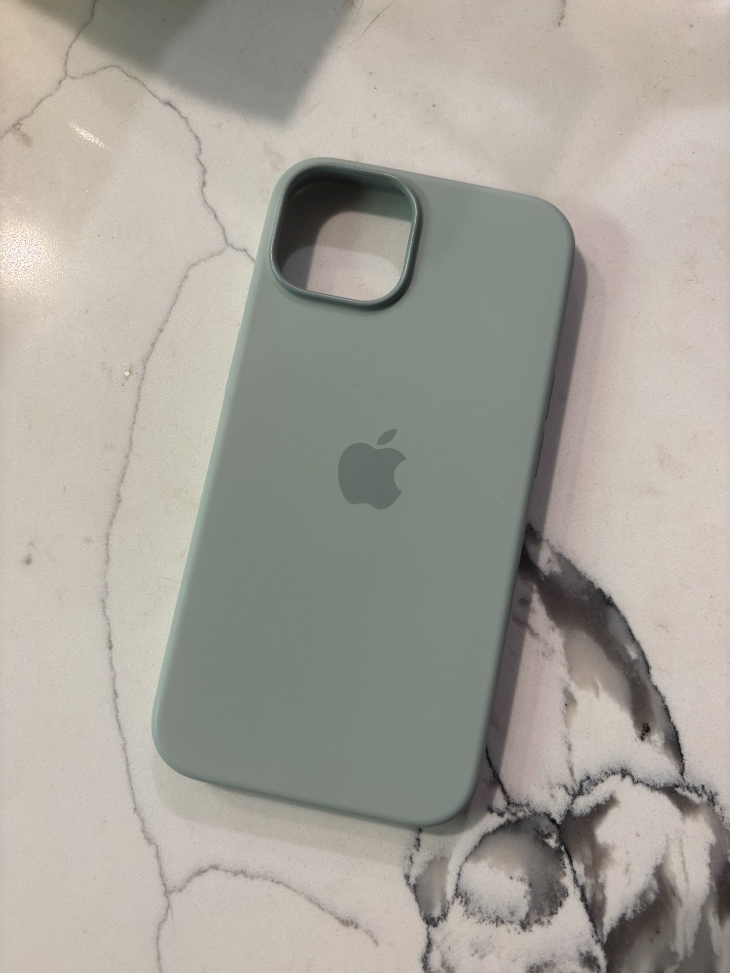 blue Apple iphone case