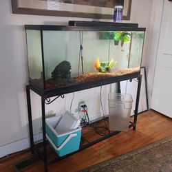 55 Gallon And 20