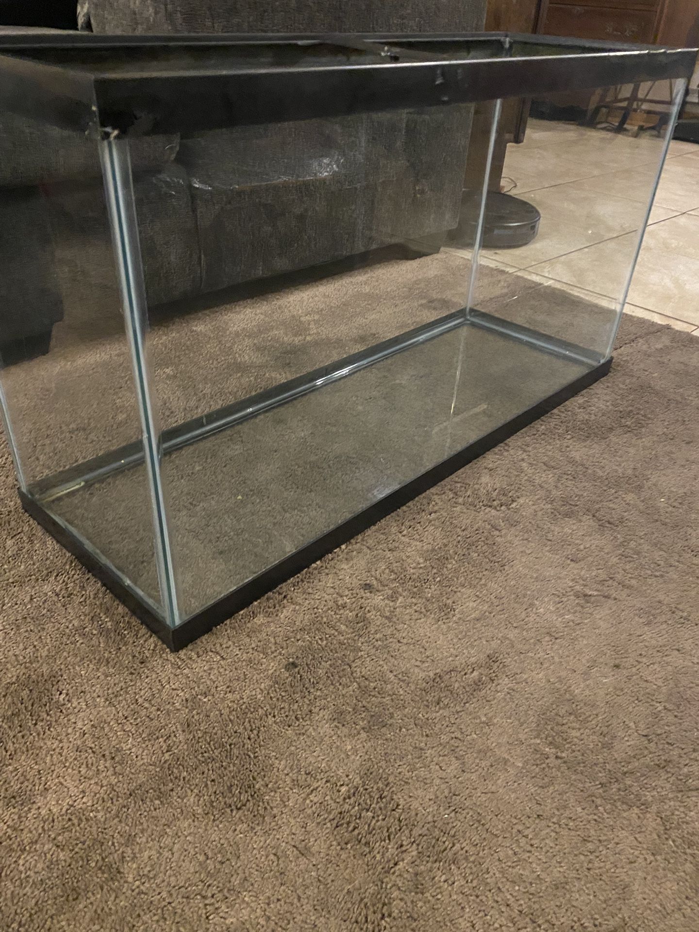 40 Gallon Fish Tank
