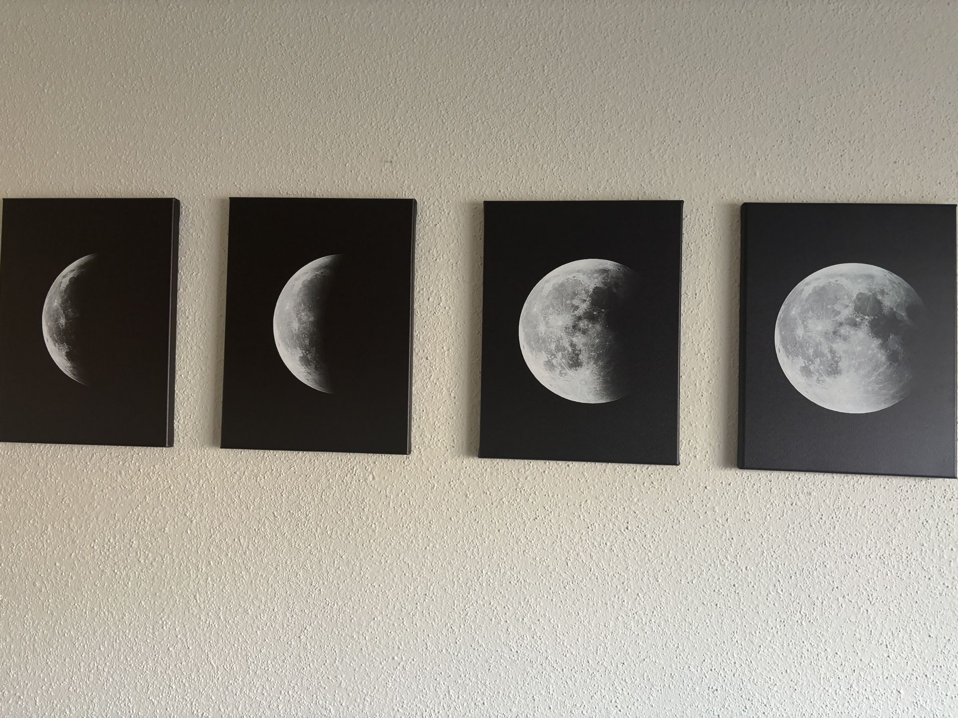Moon Phase Wall Art - $30 (Must Pick Up)