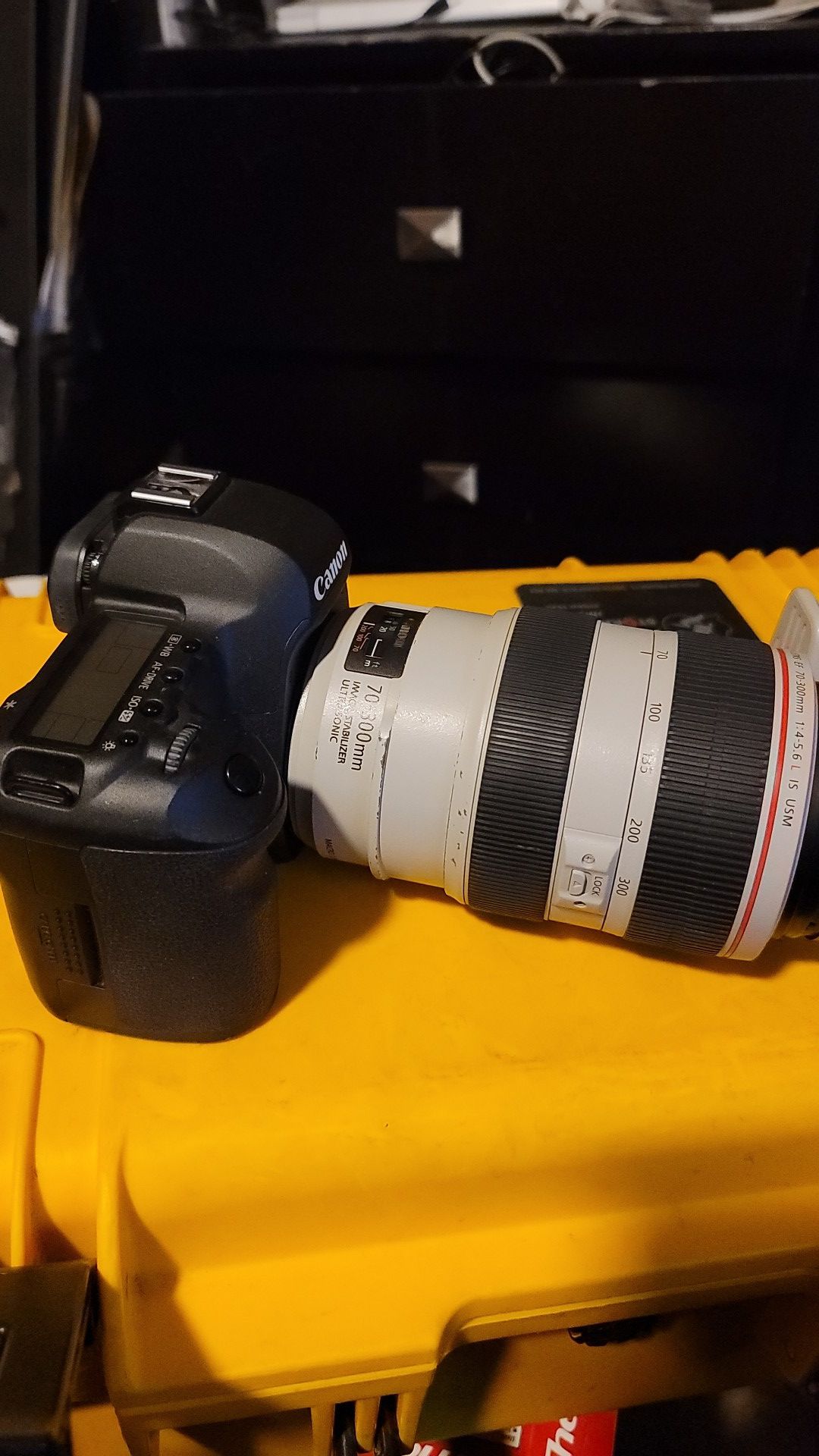 Canon 70-300mm f/4-5.6L IS USM lens