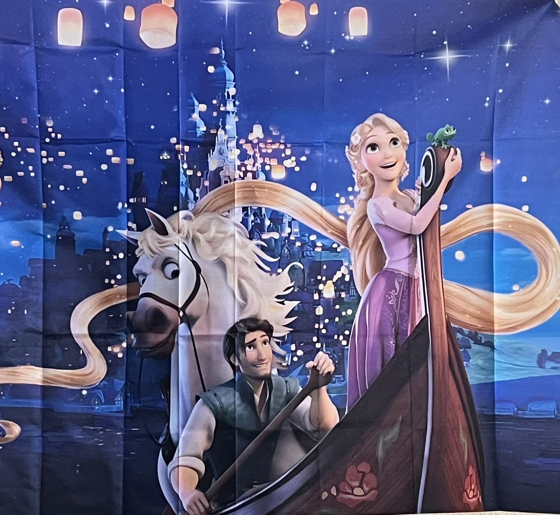 Tangled/ Rapunzel Backdrop