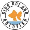 King Koi Goldfish