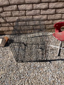 dog cage