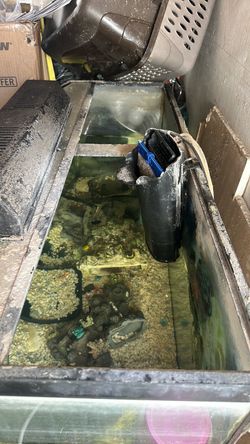 Gas dryer, Weber grill, fish tank
