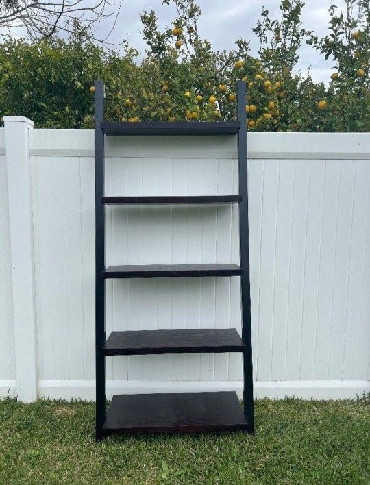 Floating Shelves/Ladder Bookcase