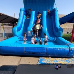 Water Slide For Sale