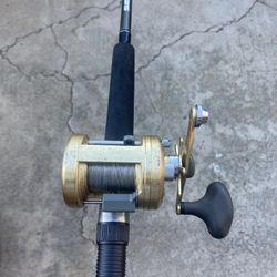 Calcutta Conventional Reel With Shimano Fishing Rod