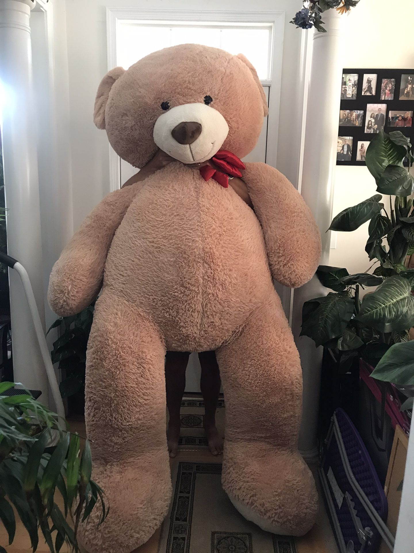 Very Nice And Very Clean Massive Bear. 7ft.