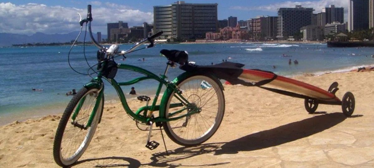 SURF? PADDLEBOARD? NEW BOARD CARRIER - EASY WAY TO THE BEACH! - $65 OBO